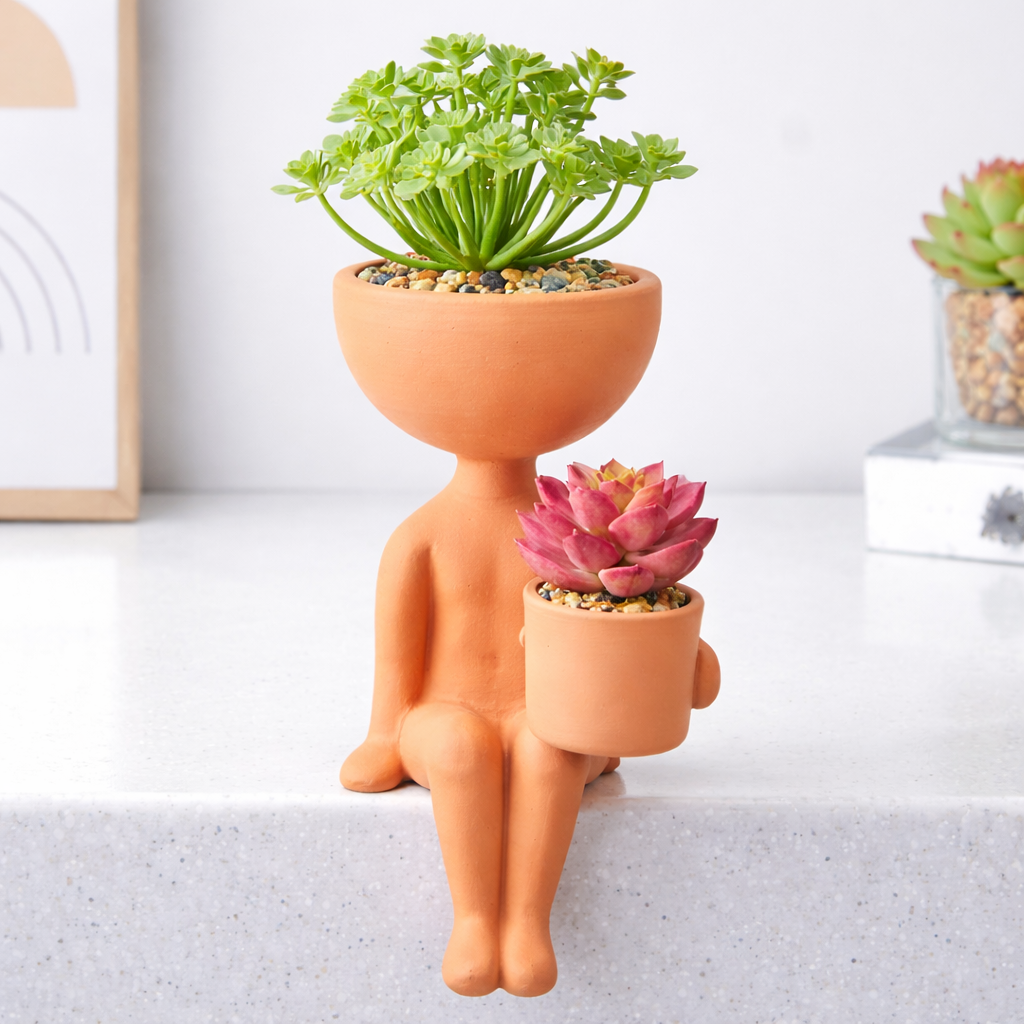 Home Decor Collection